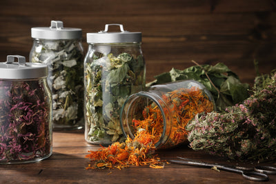 Medicinal herbs; traditional sources of relief from pain and other ailments