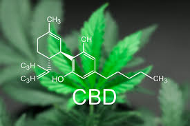 What is CBD, Cannabidiol Information