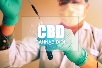 What Is CBD? Cannabidiol Information